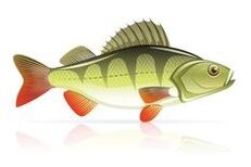 morski sadeži za pankreatitis